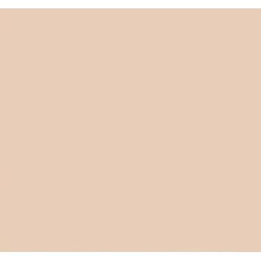 Imagem de Savage SA-19 Fundo Infinito de Papel Dims. 2,70x11Mt- Cor: EGG Nog