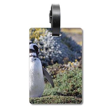 Imagem de Stand Southern Penguin SpheniscidaePicture Mala Etiqueta de Bagagem Etiqueta de Bagagem Etiqueta para Bagagem