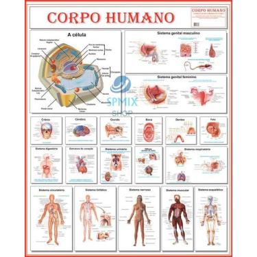 Imagem de Mapa Do Corpo Humano Completo Gigante 120 x 90 Cm - SPMIX
