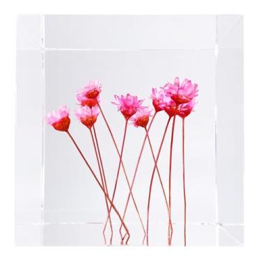 Imagem de Bon Cube Cubo de acrílico peso de papel com flores decorativas preservadas em 3D, cubo de 6 cm 340 g, flores reais rosa (assemelha-se a margarida), decoração de prateleira de mesa estética e presente
