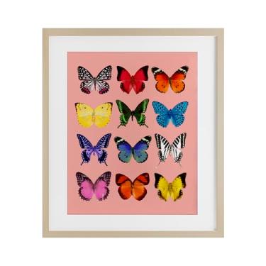 Imagem de Stupell Industries Impressão emoldurada de espécies de borboleta em bétula rosa sob vidro, design por LISH Creative, 40,6 x 33,5 cm