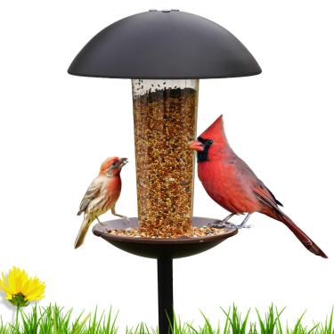 Imagem de Goodeco Alimentador de pássaros com poste em pé - Alimentador de metal para pássaros pequenos selvagens, perfeito para decorações de jardim, jardim e pátio, presentes ideais para mãe, pai, avós (preto