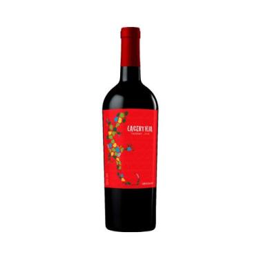 Imagem de Vinho uruguaio braccob lacertilia tannat 750ml
