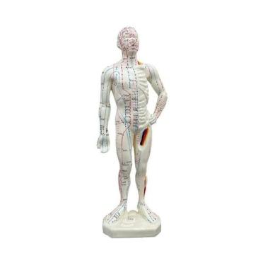 Imagem de Modelo Profissional De Acupuntura Em PVC Em Tamanho Real Para Ensino D