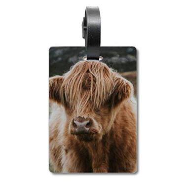 Imagem de Terrestrial Organism Wild Animal Buffalo Mala, Etiqueta de Bagagem para Cartão de Bagagem, Multicolorido.