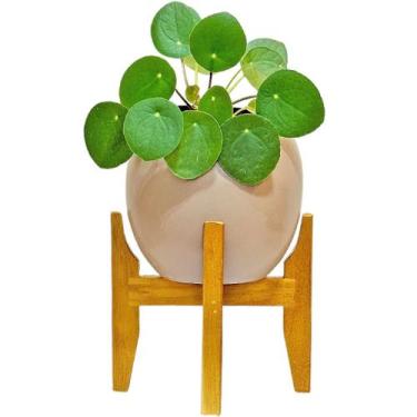 Imagem de Vaso Cachepot de Mesa 15cm Porcelana com Tripé de Madeira - Verde Gard