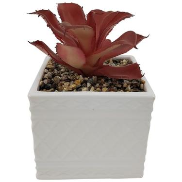 Imagem de Vaso com Suculenta Em Dolomita E Plástico L9,5Xp9,5Xa15cm Branca - Full Fit