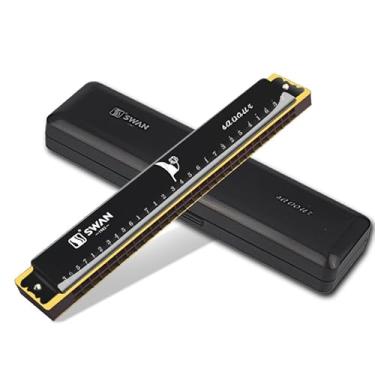 Imagem de [Gaita profissional de fileira dupla] Gaita profissional de fileira dupla de 28 furos com palhetas de latão - Superfície de metal polido - Vem com uma capa