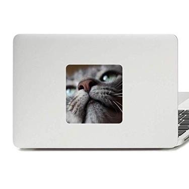 Imagem de Adesivo de vinil com desenho de gato Olhando para cima, decoração de PC