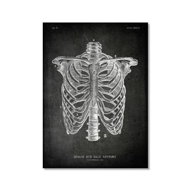 Imagem de Arte vintage de anatomia humana – Pintura em tela de educação médica, esqueleto humano, gaiola, cérebro, coração, anatomia, pôster para decoração de casa de clínica hospitalar (SKU2,8 x 30,5 cm = (20