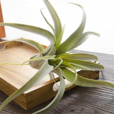 Imagem de Novas Plantas de Vime Grama Abacaxi Artificial Verdes Simulação para Decoração Parede Casamento Lar e Escritório