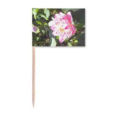 Imagem de Summer Lake Lotus Leaf Art Deco Presente Fashion Palito de Dente Bandeira Marcador Topper Decoração de Festa