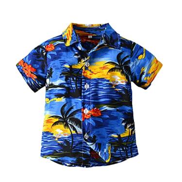Imagem de Camiseta infantil awaiian Shirt Boys Button Down Shirt manga curta verão praia camisa camisas tropicais para meninos férias, Azul, 2-3 Anos