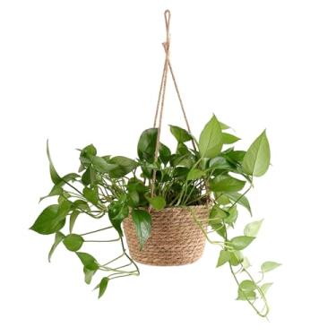 Imagem de Cesta de flores tecida, mini cesta rústica estilo retrô, cesta de jardim com corda de juta, cesta decorativa de palha multiuso para uso em sala de estar, quarto, cozinha, jardim, (Cor primária)