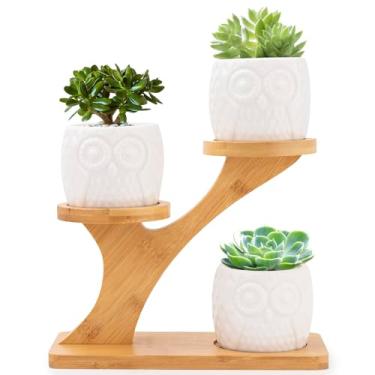 Imagem de 3 mini vasos de cerâmica de coruja para suculentas com suporte de bambu, orifícios de drenagem para exibição de plantas internas ou externas