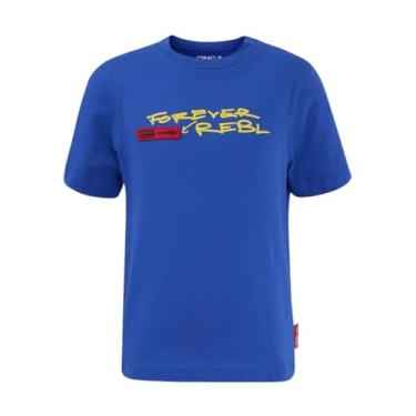 Imagem de Camiseta masculina Red Bull Racing F1 20th Anniversary azul, Azul, M