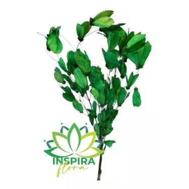 Imagem de Flor De Magnólia No Galho Folha Verde Arranjo Decoração - FLORA FULL
