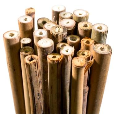 Imagem de SuperMoss (12385) Estacas para plantas de bambu – varas de bambu endireitadas à mão e ecológicas para suporte versátil de plantas, estacas de jardim e decoração de casa, 1,5 m - pacote com 500,