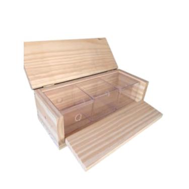 Imagem de Caixa Didática Para Abelhas Sem Ferrão Da Espécie Marmelada e Outras Com 3 Módulos Em Acrílico