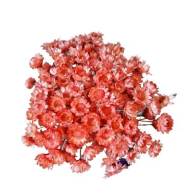 Imagem de Buque de Flores Artificiais Sempre Viva - Kit com 1.600 Flores, Tipo 1 Extra, Arranjo Decorativo para Presentes e Decoração(Salmão,2 buquês (400 florzinhas))