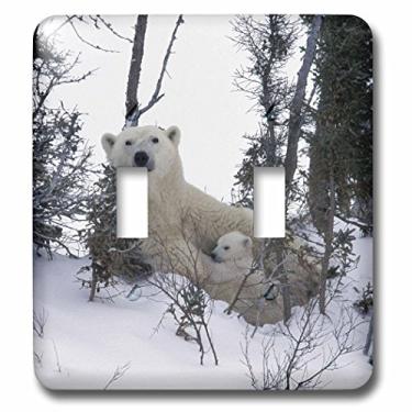 Imagem de 3dRose lsp_70153_2 Manitoba, Churchill. Interruptor duplo de ursos polares para filhotes de urso polar