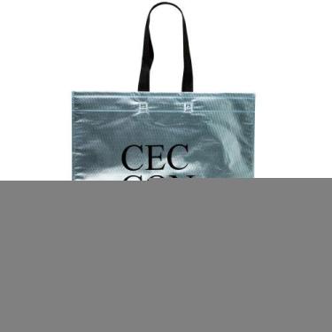Imagem de Bag Presente Prata Cecconello 45x45, Unica, U