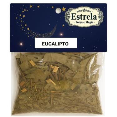 Imagem de Erva Eucalipto na Umbanda e Candomblé  Purificação  Proteção  Renovaçã