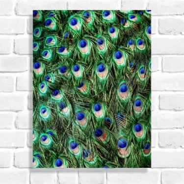Imagem de Quadro Decorativo Penas de Pavão - Arte Aqui, 20x30cm