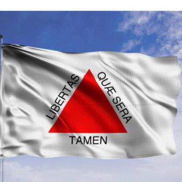 Imagem de Bandeira Minas Gerais Oficial Grande 150 x 90 Cm  show - WCAN