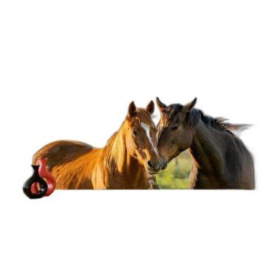 Imagem de Papel De Parede Animais Casal Cavalos Fazenda 3,5M Anm305 - Você Decor