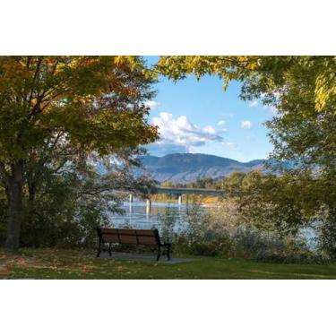 Imagem de Quadro Decorativo com Estampa Bench Trees Againstsky 40 x 40 Papel 1 unidade