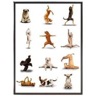 Imagem de Quadro Decorativo Yoga Dogs 45X34 Com Vidro - Madeira Preta