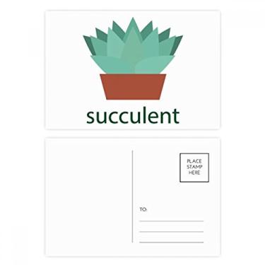 Imagem de Conjunto de cartão postal para suculentas de planta verde em vaso de cacto, cartão de felicitações de aniversário