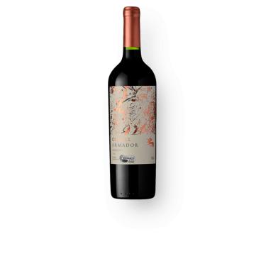 Imagem de VINHO ODFJELL ARMADOR MERLOT TINTO 750ML