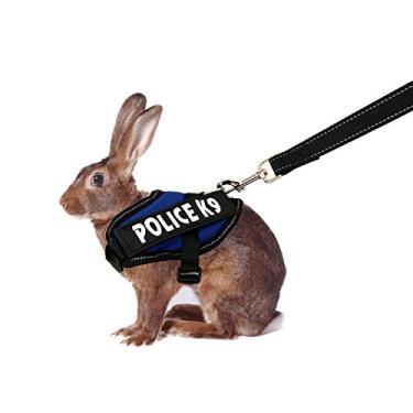 Imagem de Coleira de Halloween Vehomy para animais pequenos, fantasia de coelho com asas de morcego para coelhos, filhotes e gatos pequenosVehomy azul HT0036BLUE-FBA