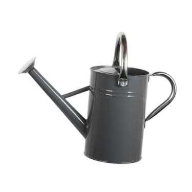 Imagem de IEUDNS Regador interno para plantas domésticas, pulverizador fino, economia de trabalho, cabo ergonômico, à prova de vazamentos, multiuso com bico removível, Cinza