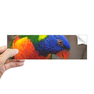 Imagem de DIYthinker Adesivo retangular de papagaio animal com organismo terrestre da Pcture para notebook, janela