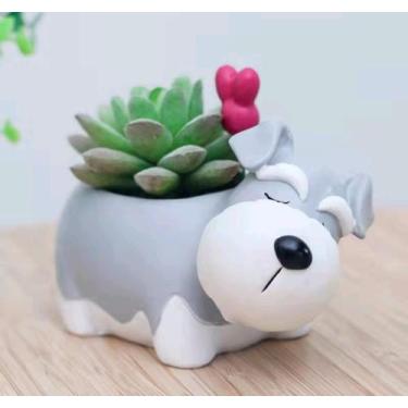 Imagem de Vaso de suculenta decorativo - Rose garden 