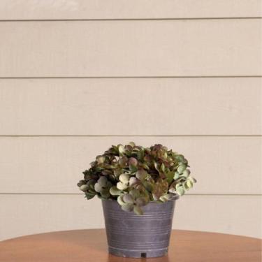 Imagem de 10 buquê flores artificiais tecido mini Hortência para decoração de co
