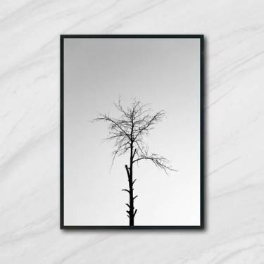 Imagem de Quadro Decorativo Fotografia Árvore Seca 45x34 Moldura Preta - Quadros