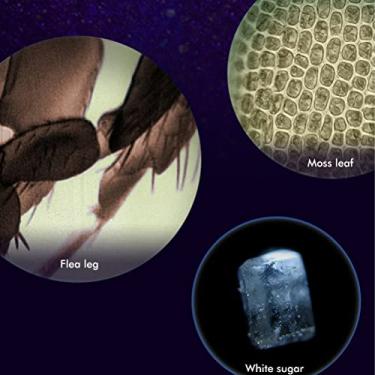 Imagem de Generic Brinquedos Científicos de Microscópio Portátil para Crianças, Alimentados por LED Radiance, Ampliação de 60x-120x, Fácil de Usar, para Interação entre Crianças e Pais, tamanho: 10,5 * 5,3