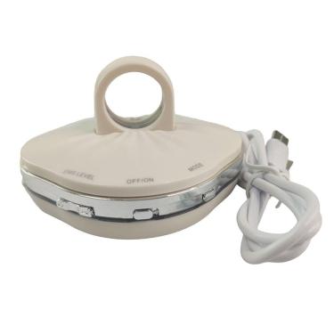 Imagem de Massageador Facial Eletrico Manual 4 Modos Usb Pescoço Anti Rugas Rejuvenescimento Anti Envelhecimento Vibraçao