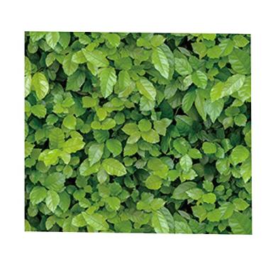 Imagem de WSWJDW Decoração da casa 3D PVC Papel de parede de grãos de madeira Papel de parede de pedra de tijolo Papel de parede autoadesivo para sala de estar Papel de parede de quarto, 13,45 cm x 10 m