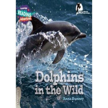 Imagem de Dolphins In The Wild 3 Explorers