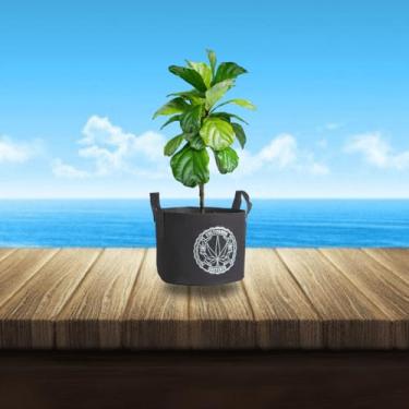 Imagem de VASO DE FELTRO GROW BAG CULTIVANDO SUSTENTO 15 LITROS PARA CULTIVO INDOOR E OUTDOOR COM ALÇA RESISTENTE