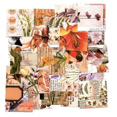 Imagem de Adesivos Decorativo Scrapbook Planner 46 Peças Nature Travel - Doce Te