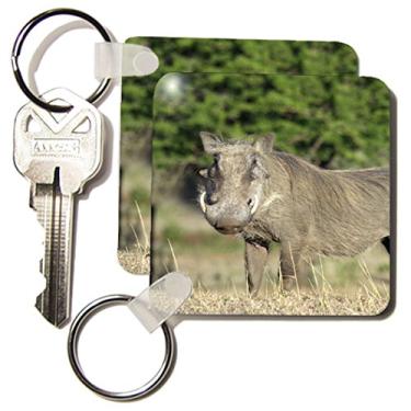 Imagem de 3dRose África do Sul, KwaZulu Natal, Zulu Nyala GR, Warthog-AF42 JEN0053 - Jim Engelbrecht - Chaveiros, 5,7 x 11,4 cm, conjunto de 2 (kc_76273_1)
