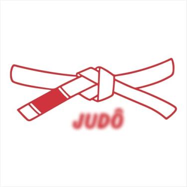 Imagem de Adesivo Faixa Judô Decorativa: Evolução, Energia, Estilo, OSS, Kimono (VERMELHO, 35x15 cm)