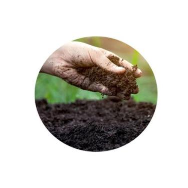 Imagem de Esterco Vaca/Bovino/Boi Adubo Orgânico Natural Hortas Plantas 250g - E