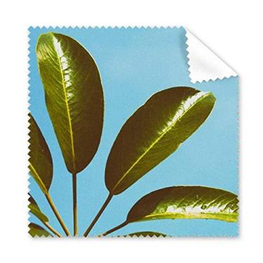 Imagem de Pano de limpeza natural de folhas de céu azul, 5 peças
